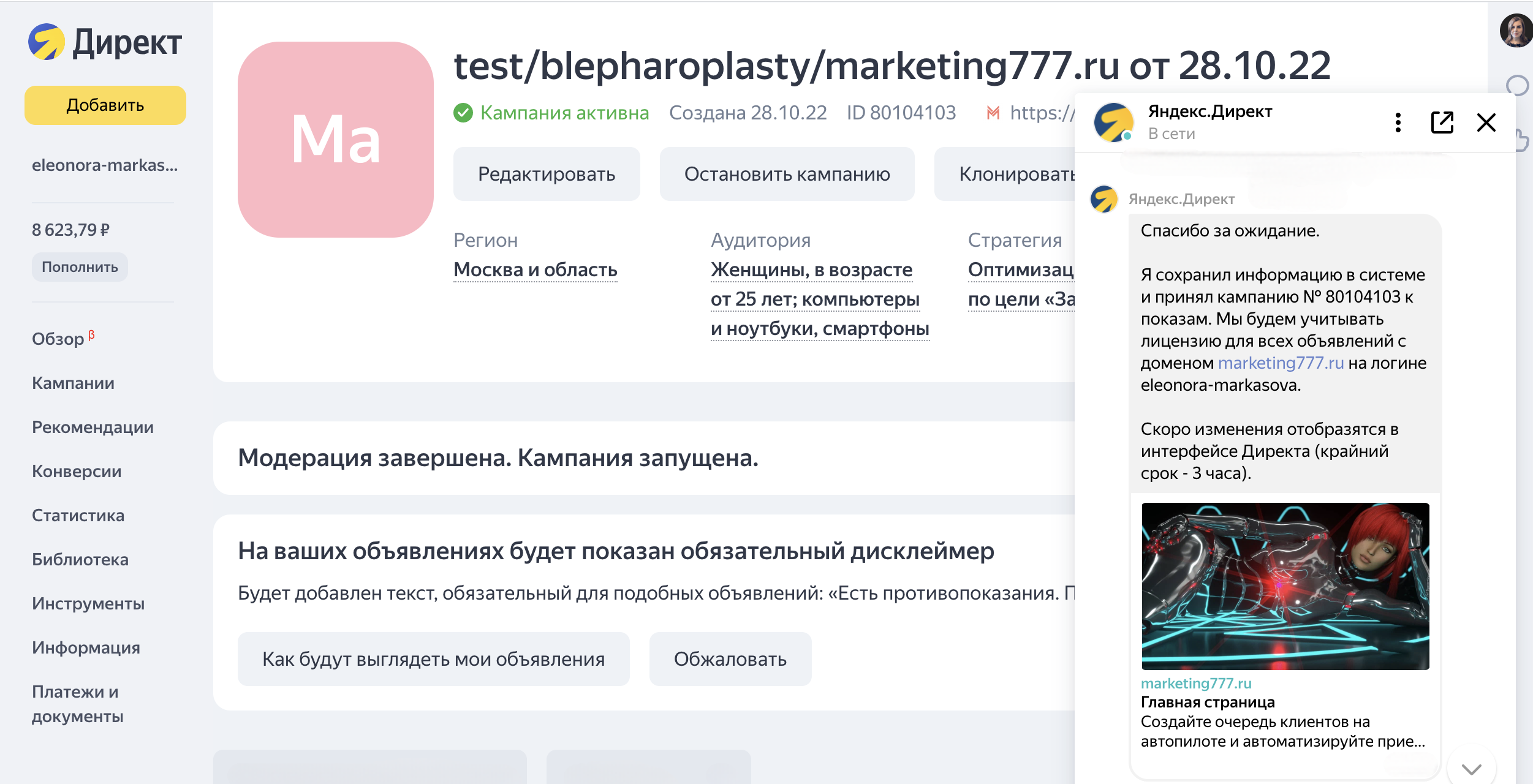 Скриншот из рекламного кабинета "Яндекс Директ" 