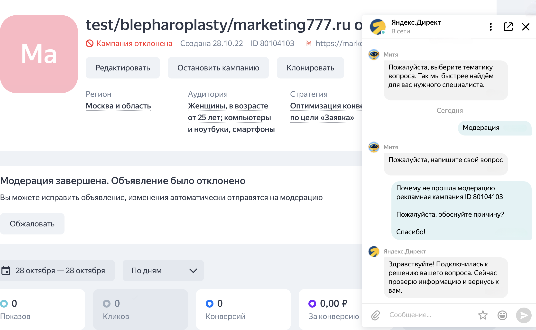 Скриншот из рекламного кабинета "Яндекс Директ"